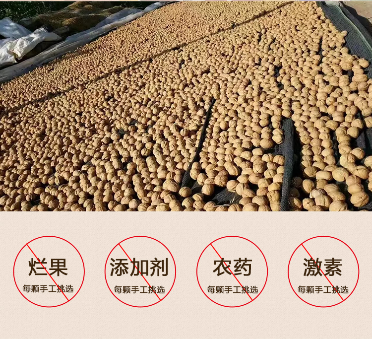 详情_08.jpg